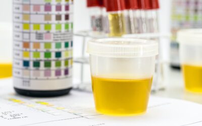2024 Urine Drug Testing Guidelines