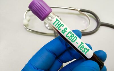 How Accurate Are At-Home Drug Test Kits Compared to Lab Tests?