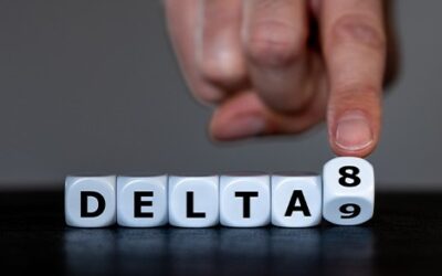 Employers and Delta-8 THC – What You Need to Know