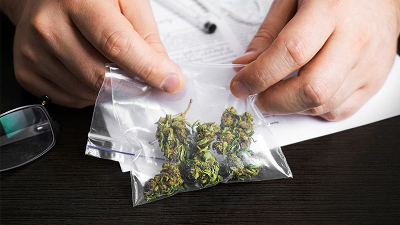 marijuana drug test