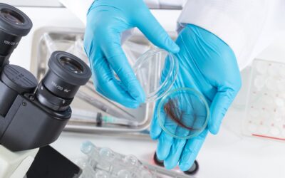 How much does a Hair DNA Test Cost?