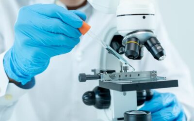 What Is a C-Reactive Protein (CRP) Test and Why It Matters