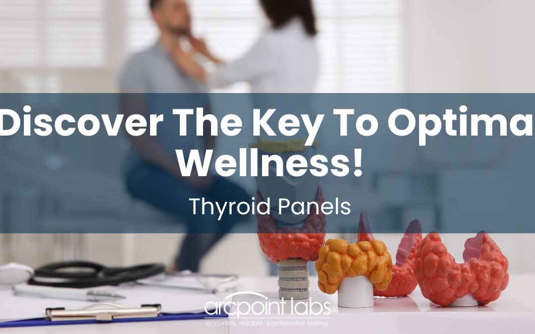 A Comprehensive Guide to Thyroid Health: All You Need to Know ...