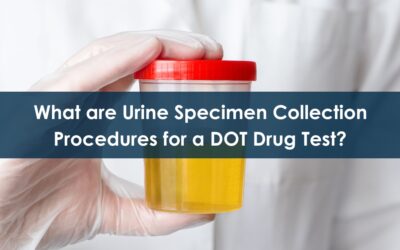 What are Urine Specimen Collection Procedures for a DOT Drug Test?