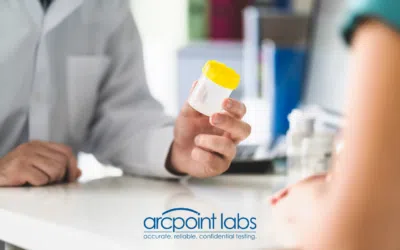 Detection Windows: How Far Back Can Lab Drug Tests Go?