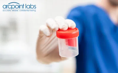 Understanding STD Test Timelines: How Long Until You Know?
