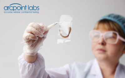 An Essential Guide to Forensic DNA Testing Process