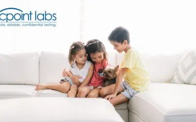 Complete Guide to Understanding Sibling DNA Tests