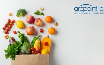 Heart-Healthy Diet Essentials: The Best Foods for Cardiovascular Wellness